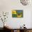 Buckeye Butterfly-Darrell Gulin-Framed Premier Image Canvas displayed on a wall