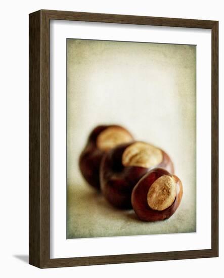 Buckeyes-Jessica Rogers-Framed Giclee Print