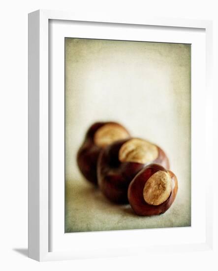 Buckeyes-Jessica Rogers-Framed Giclee Print