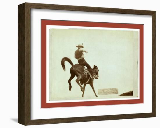 Bucking Bronco. Ned Coy-John C. H. Grabill-Framed Giclee Print