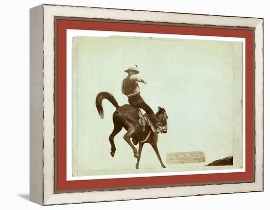 Bucking Bronco. Ned Coy-John C. H. Grabill-Framed Premier Image Canvas