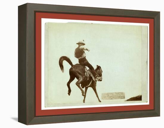 Bucking Bronco. Ned Coy-John C. H. Grabill-Framed Premier Image Canvas