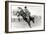 Bucking Bronco Photo-null-Framed Premium Giclee Print