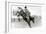 Bucking Bronco Photo-null-Framed Premium Giclee Print