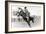 Bucking Bronco Photo-null-Framed Premium Giclee Print