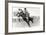 Bucking Bronco Photo-null-Framed Art Print