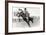 Bucking Bronco Photo-null-Framed Art Print