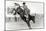 Bucking Bronco Photo-null-Mounted Art Print