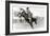 Bucking Bronco Photo-null-Framed Art Print