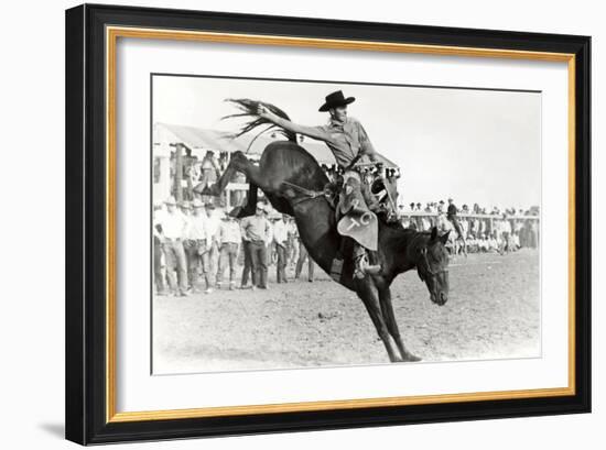 Bucking Bronco Photo-null-Framed Art Print