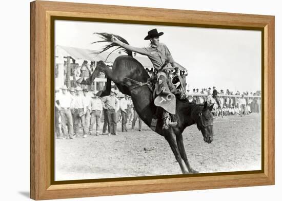 Bucking Bronco Photo-null-Framed Stretched Canvas