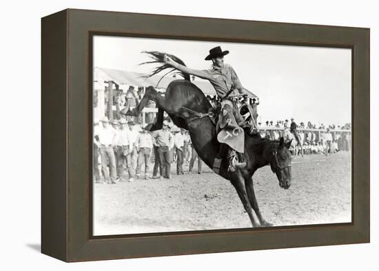 Bucking Bronco Photo-null-Framed Stretched Canvas