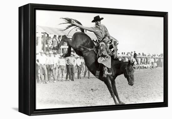 Bucking Bronco Photo-null-Framed Stretched Canvas
