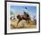 Bucking Bronco-Frank Wootton-Framed Collectable Print