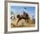 Bucking Bronco-Frank Wootton-Framed Collectable Print