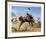 Bucking Bronco-Frank Wootton-Framed Collectable Print