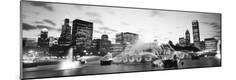 Photographic Print