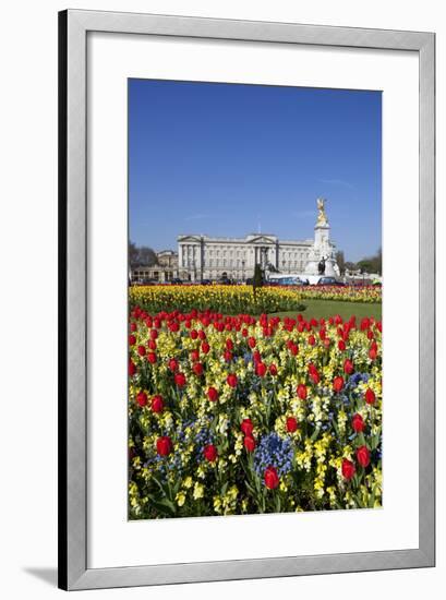 Buckingham Palace and Queen Victoria Monument with Tulips, London, England, United Kingdom, Europe-Stuart Black-Framed Photographic Print