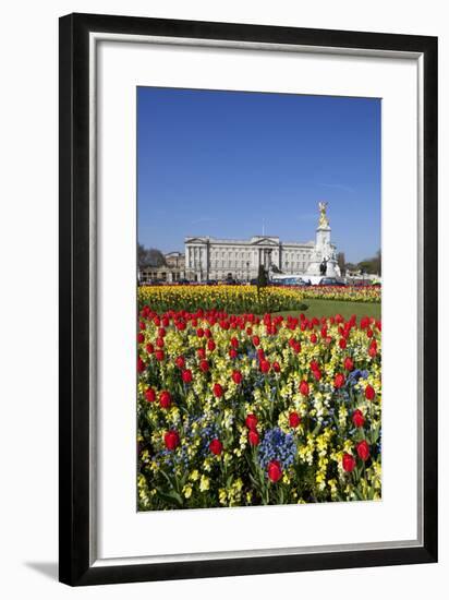 Buckingham Palace and Queen Victoria Monument with Tulips, London, England, United Kingdom, Europe-Stuart Black-Framed Photographic Print