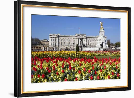 Buckingham Palace and Queen Victoria Monument with Tulips, London, England, United Kingdom, Europe-Stuart Black-Framed Photographic Print