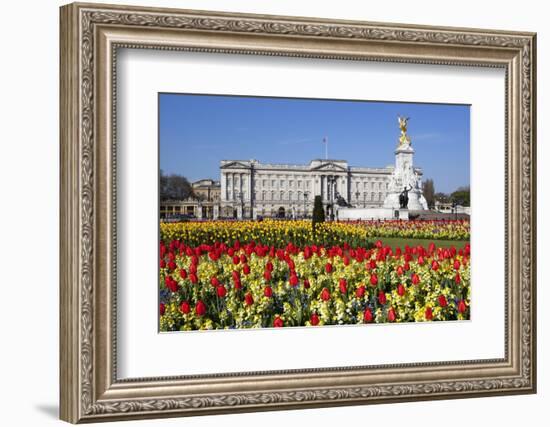 Buckingham Palace and Queen Victoria Monument with Tulips, London, England, United Kingdom, Europe-Stuart Black-Framed Photographic Print