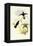 Buckley's Mountain Hummingbird, Pinarol?ma Buckleyi-John Gould-Framed Premier Image Canvas
