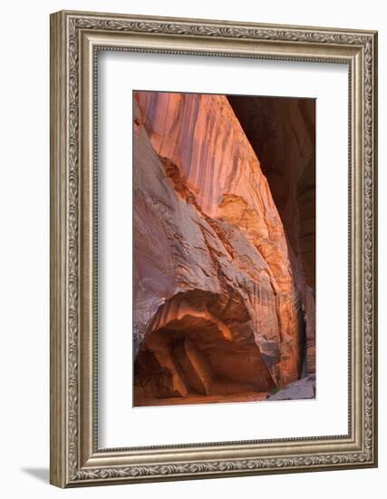 Buckskin Gulch II-Alan Majchrowicz-Framed Photographic Print