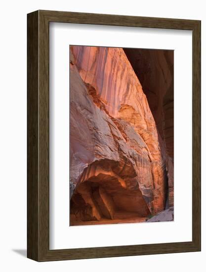 Buckskin Gulch II-Alan Majchrowicz-Framed Photographic Print