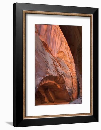 Buckskin Gulch II-Alan Majchrowicz-Framed Photographic Print