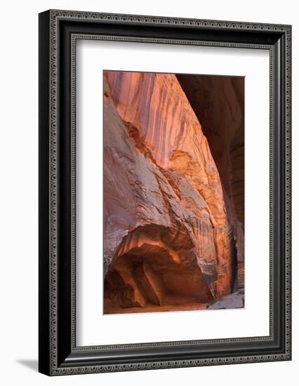 Buckskin Gulch II-Alan Majchrowicz-Framed Photographic Print