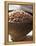 Buckwheat in a Dish-Malgorzata Stepien-Framed Premier Image Canvas