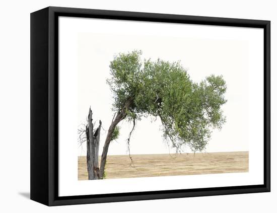 Bucolic Scene V-Golie Miamee-Framed Stretched Canvas