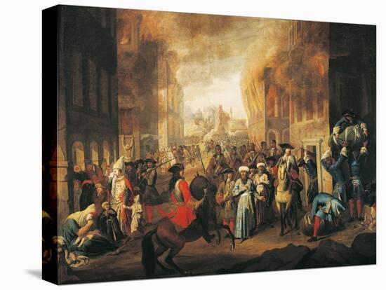 Stretched Canvas Print, , large