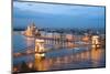 Budapest, Night View of Chain Bridge on the Danube River and the City of Pest-ollirg-Mounted Photographic Print