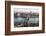 Budapest-e.della-Framed Photographic Print