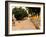 Buddha at Ayuthaya, Siam, Thailand-Gavriel Jecan-Framed Photographic Print