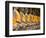 Buddha at Ayuthaya, Siam, Thailand-Gavriel Jecan-Framed Photographic Print