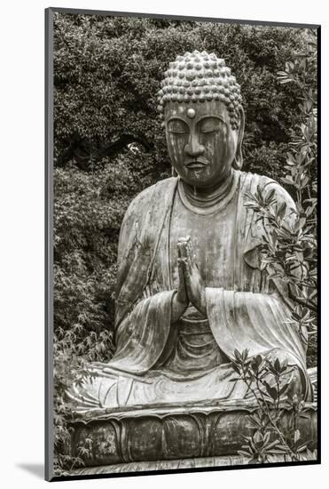 Buddha at Gokokusan Tenno ji Temple, Taito, Tokyo, Japan-Peter Adams-Mounted Photographic Print