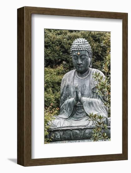 Buddha at Gokokusan Tenno ji Temple, Taito, Tokyo, Japan-Peter Adams-Framed Photographic Print