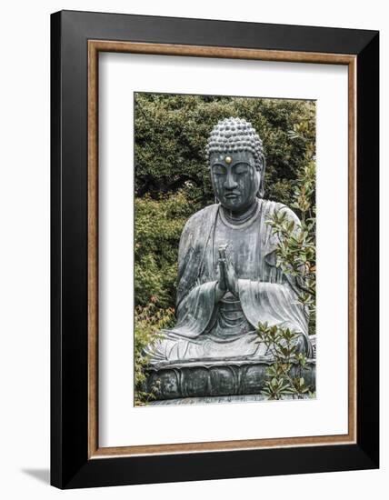 Buddha at Gokokusan Tenno ji Temple, Taito, Tokyo, Japan-Peter Adams-Framed Photographic Print