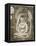 Buddha; Bouddha, 1895-1903-Paul Gauguin-Framed Premier Image Canvas