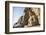 Buddha Cave, Datong, Shanxi Province, China-Paul Souders-Framed Photographic Print