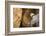 Buddha Caves, Datong, Shanxi Province, China-Paul Souders-Framed Photographic Print