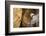 Buddha Caves, Datong, Shanxi Province, China-Paul Souders-Framed Photographic Print