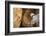 Buddha Caves, Datong, Shanxi Province, China-Paul Souders-Framed Photographic Print