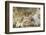 Buddha Caves, Datong, Shanxi Province, China-Paul Souders-Framed Photographic Print