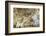 Buddha Caves, Datong, Shanxi Province, China-Paul Souders-Framed Photographic Print