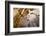 Buddha Caves, Datong, Shanxi Province, China-Paul Souders-Framed Photographic Print