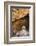 Buddha Caves, Datong, Shanxi Province, China-Paul Souders-Framed Photographic Print