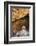 Buddha Caves, Datong, Shanxi Province, China-Paul Souders-Framed Photographic Print